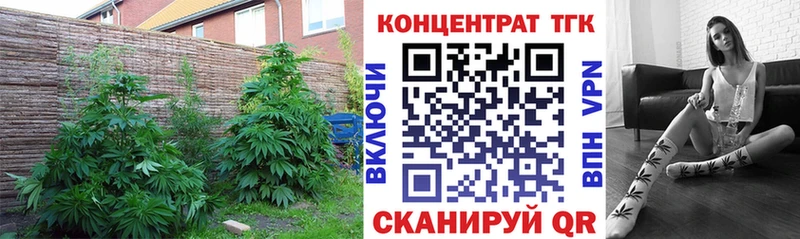 ТГК жижа  kraken маркетплейс  Сегежа 