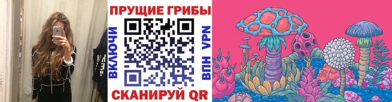 Псилоцибиновые грибы прущие грибы  ссылка на мегу онион  Сегежа  что такое  